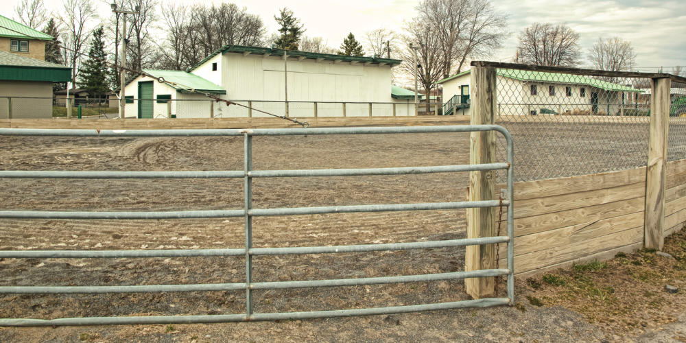 The Best Way to Protect and Train Your Horse!